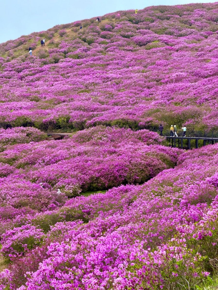   ݾ ȲŻ ö