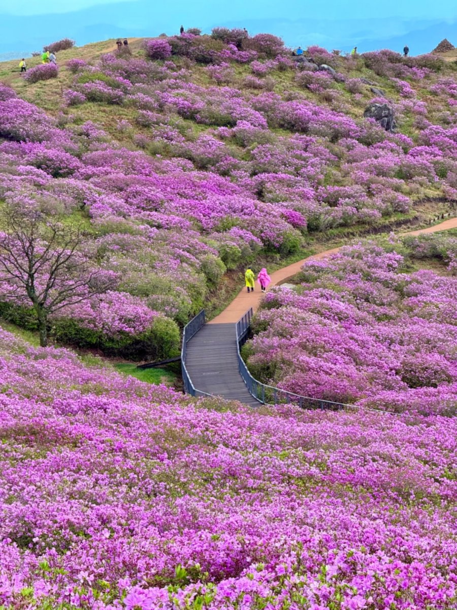   ݾ ȲŻ ö
