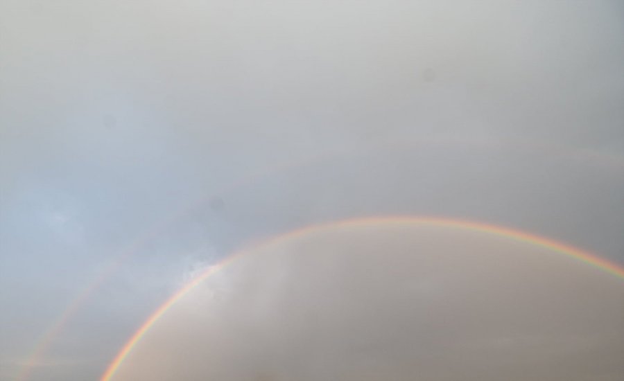 λ ֹ