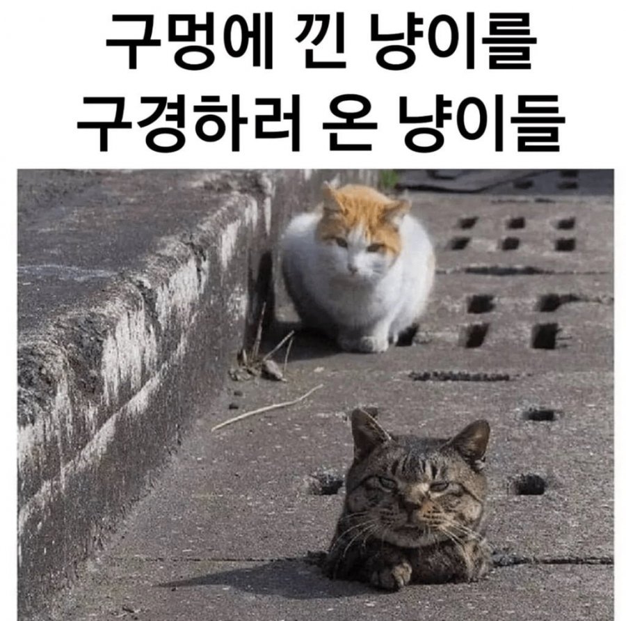 20250513004512_TfINWPm1Is.png