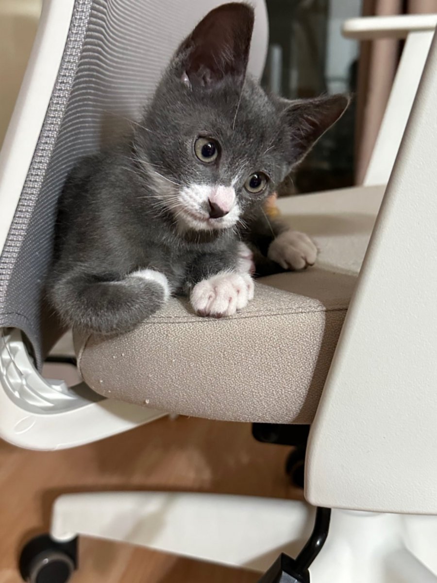 2  츮  