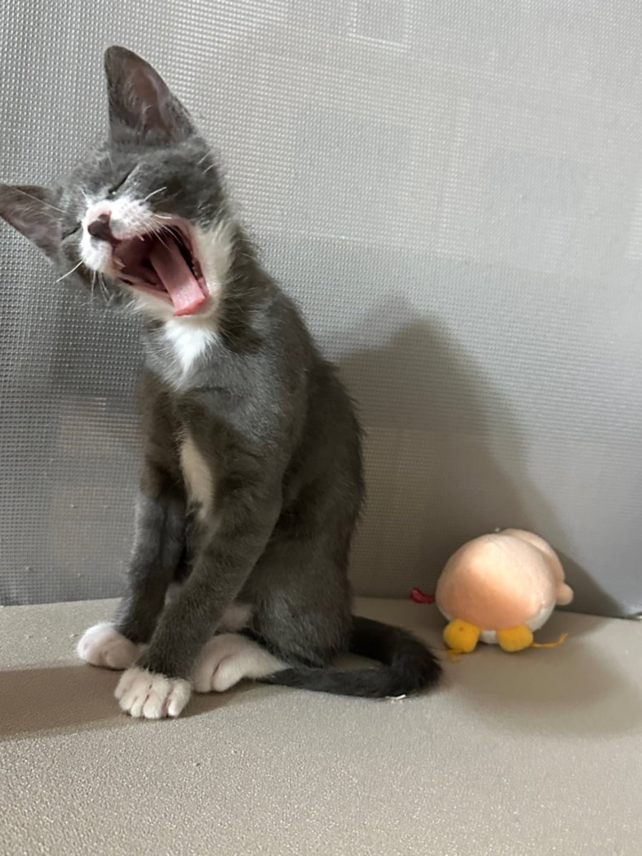 2  츮  