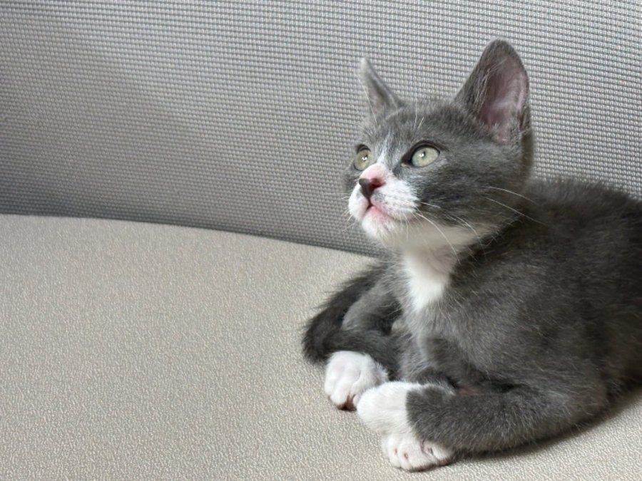 2  츮  