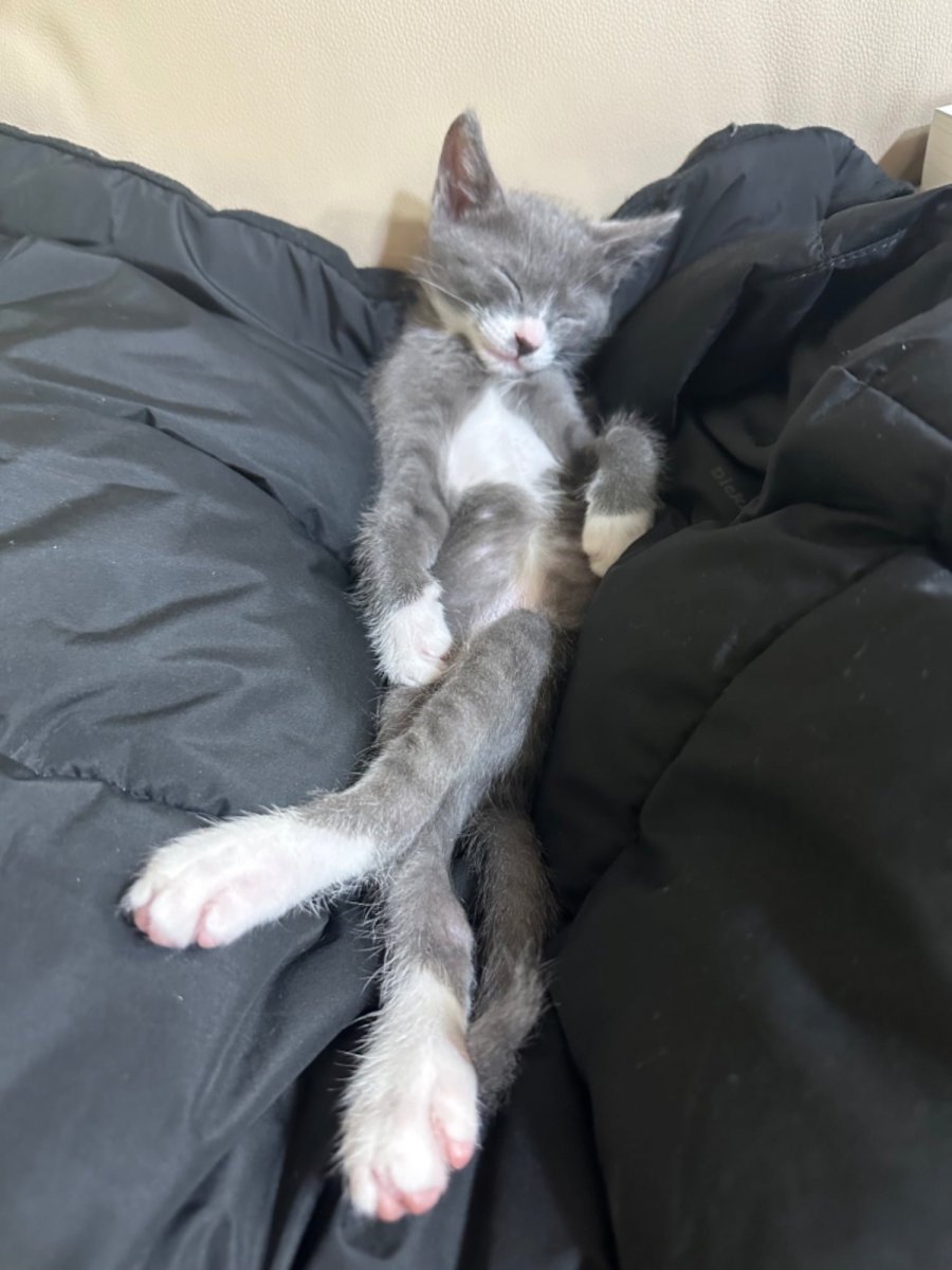 2  츮  