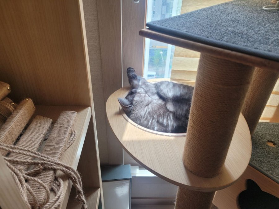 츮 
