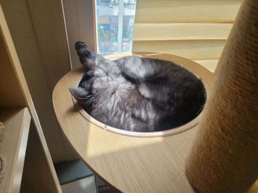 츮 