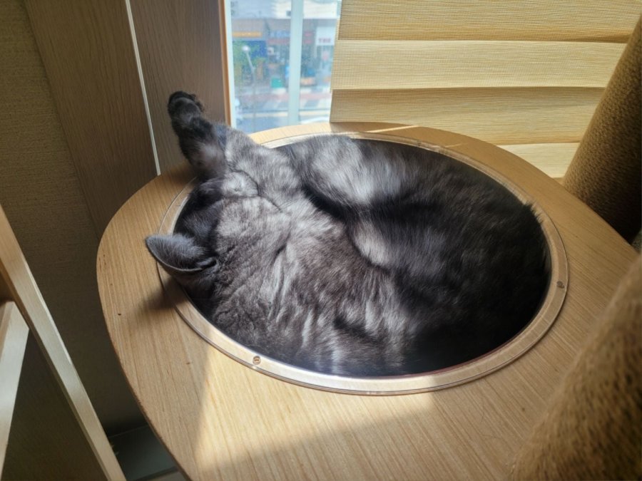 츮 