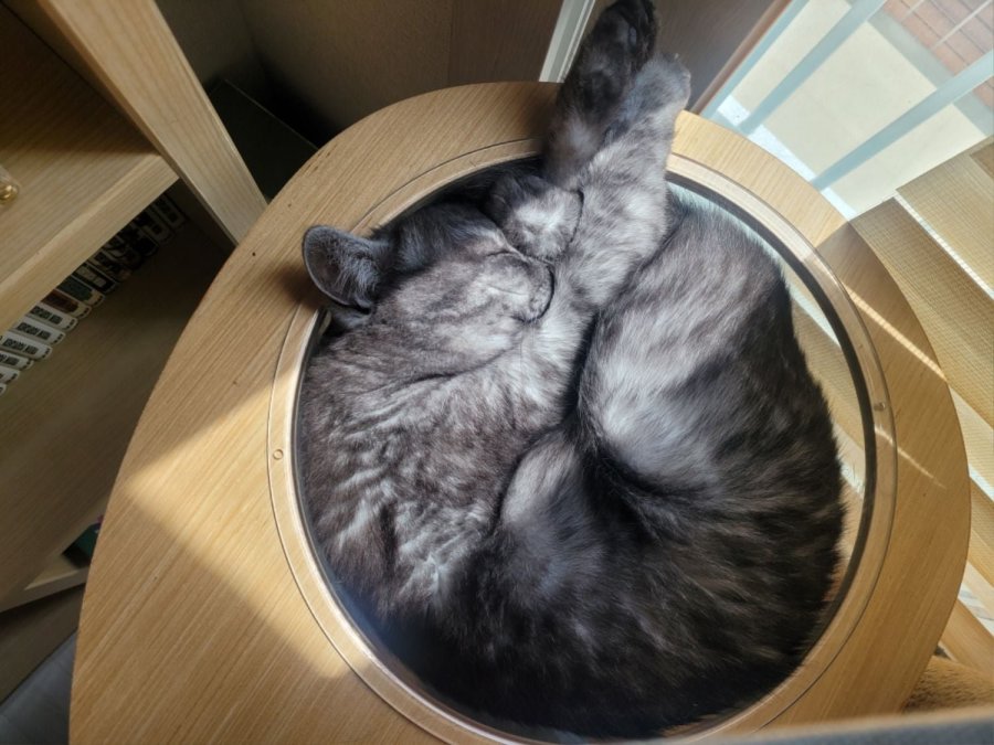 츮 