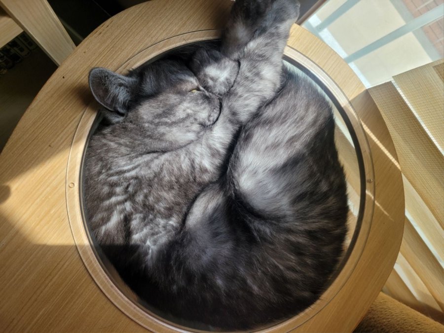 츮 