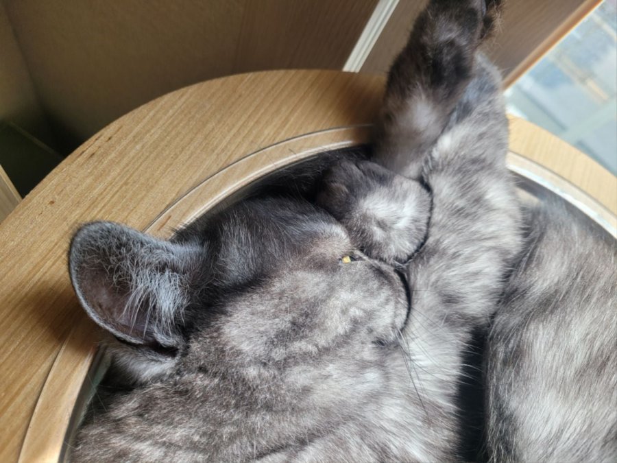 츮 