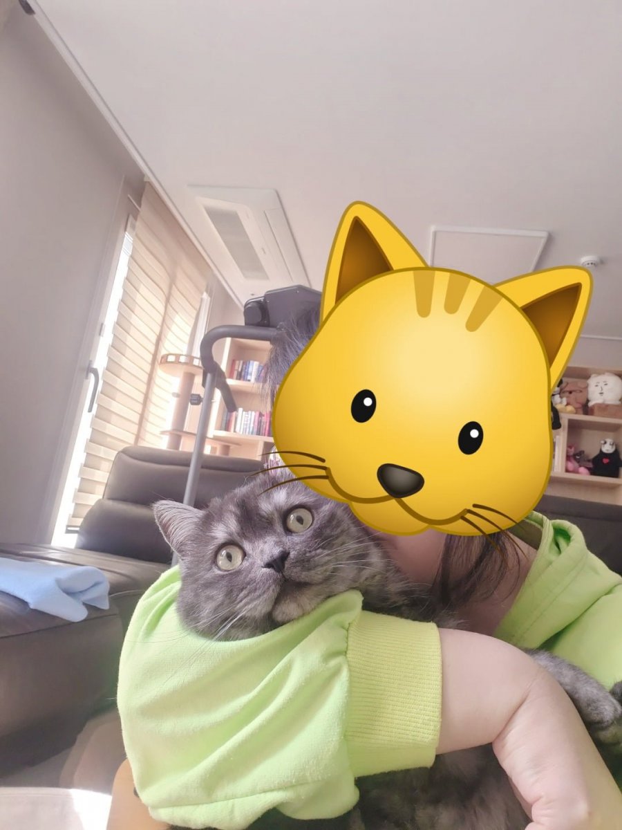 츮 