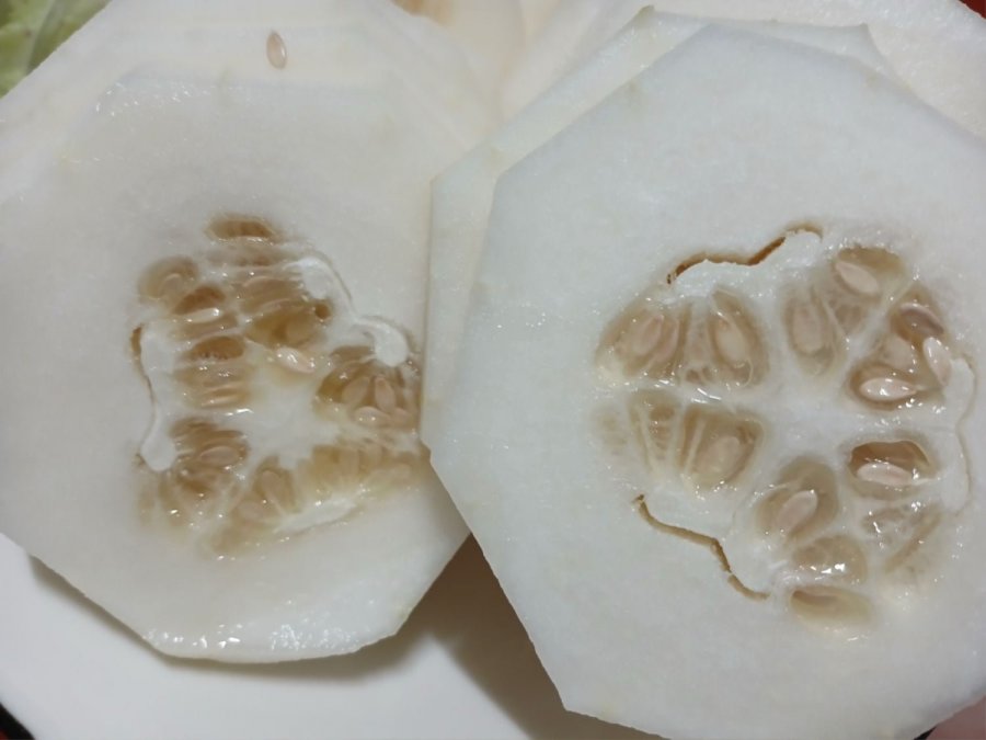 ȸ 