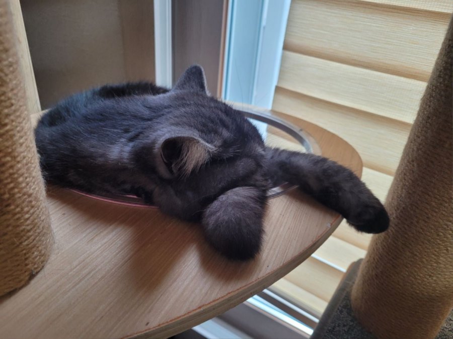 츮 
