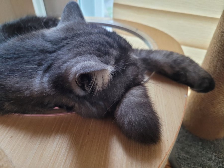 츮 