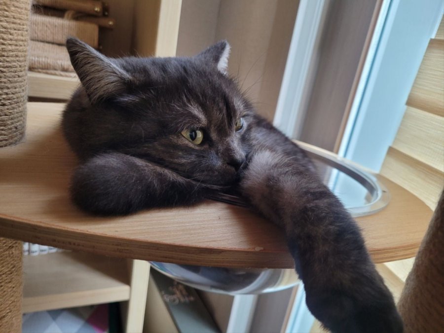 츮 
