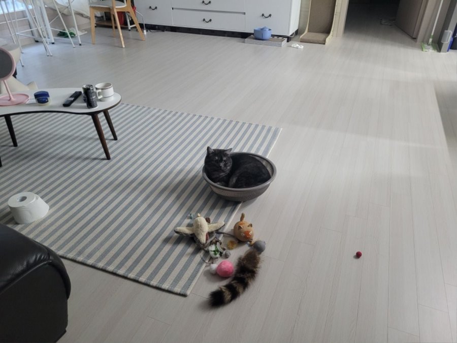 츮 