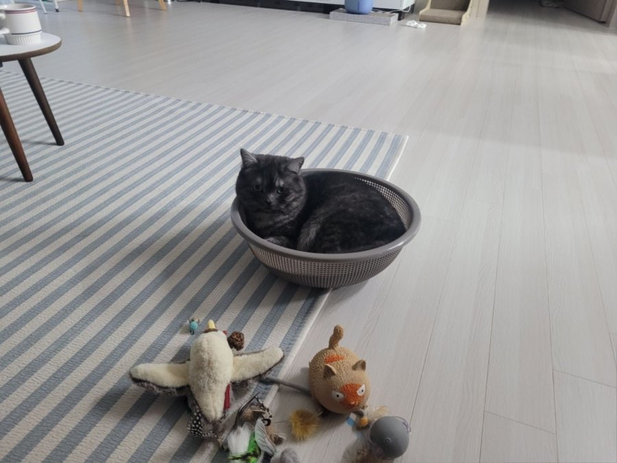 츮 