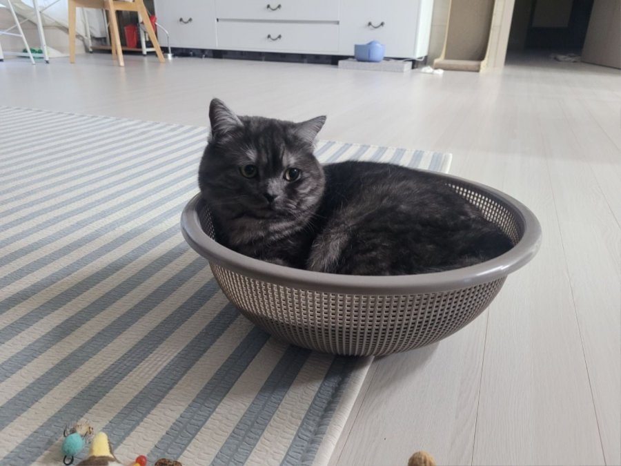 츮 