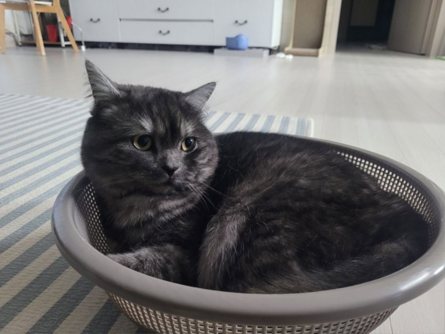 츮 