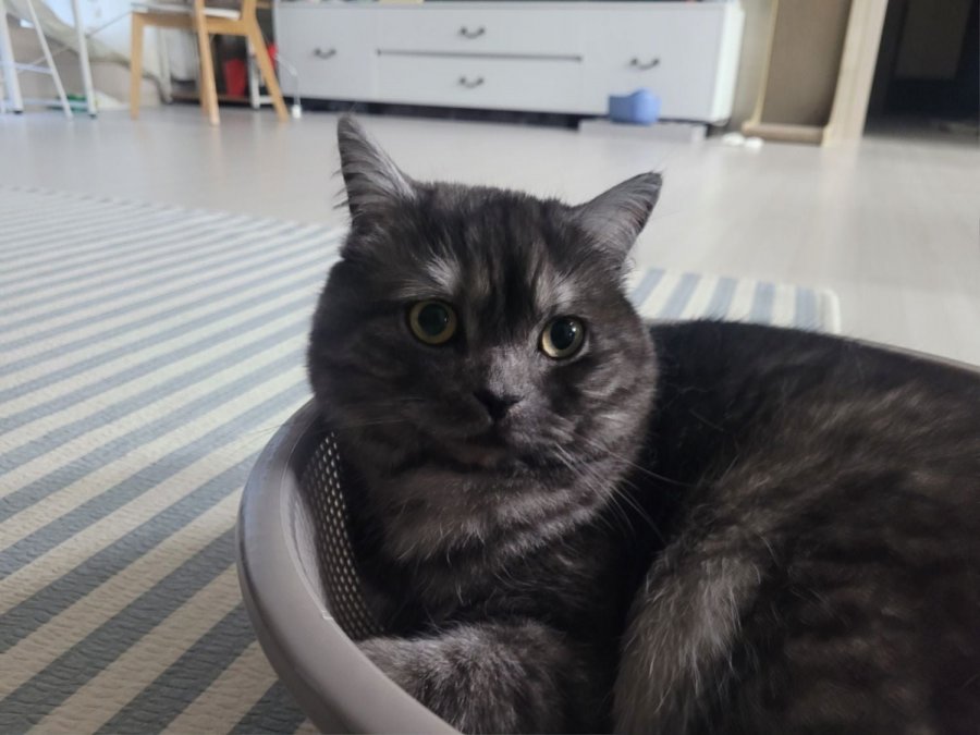 츮 