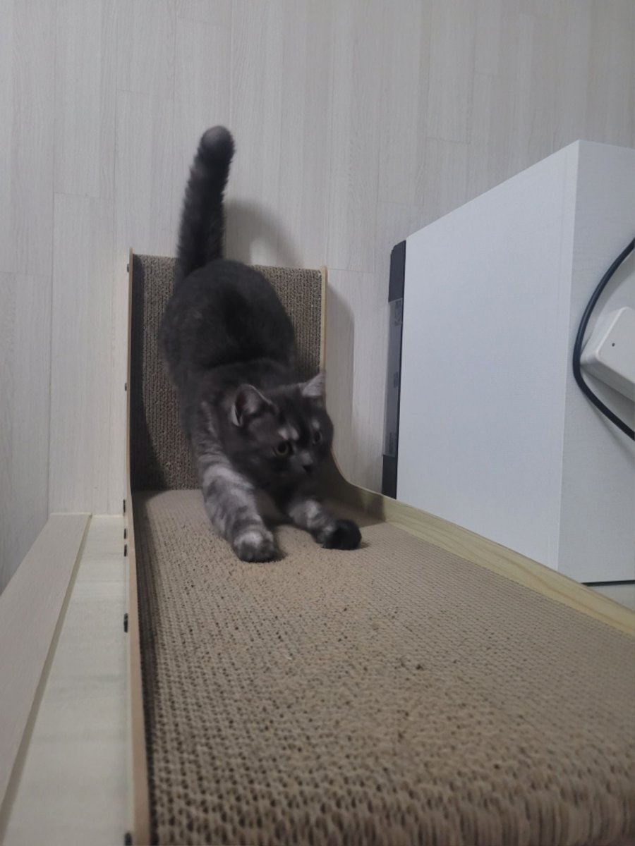 츮 