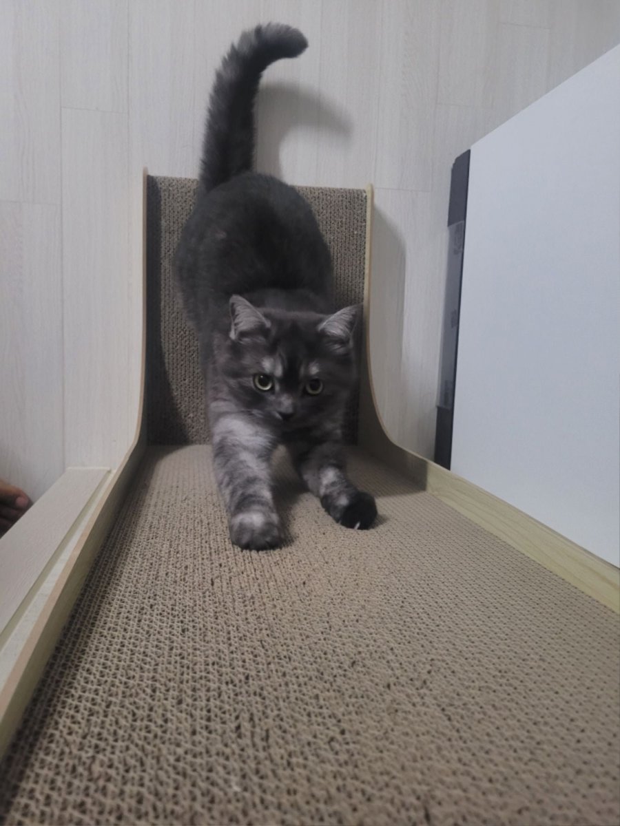 츮 