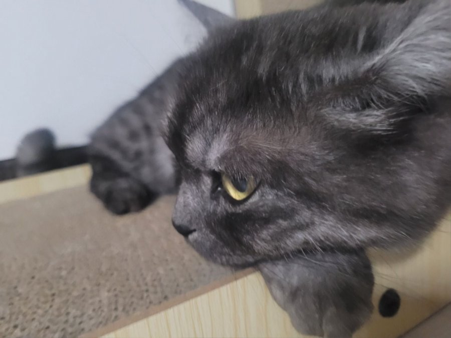 츮 
