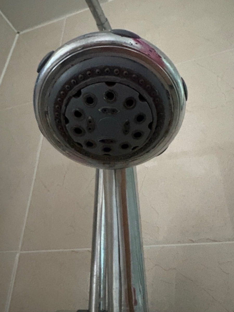 20250518165453_6zUToKHHR8.jpeg