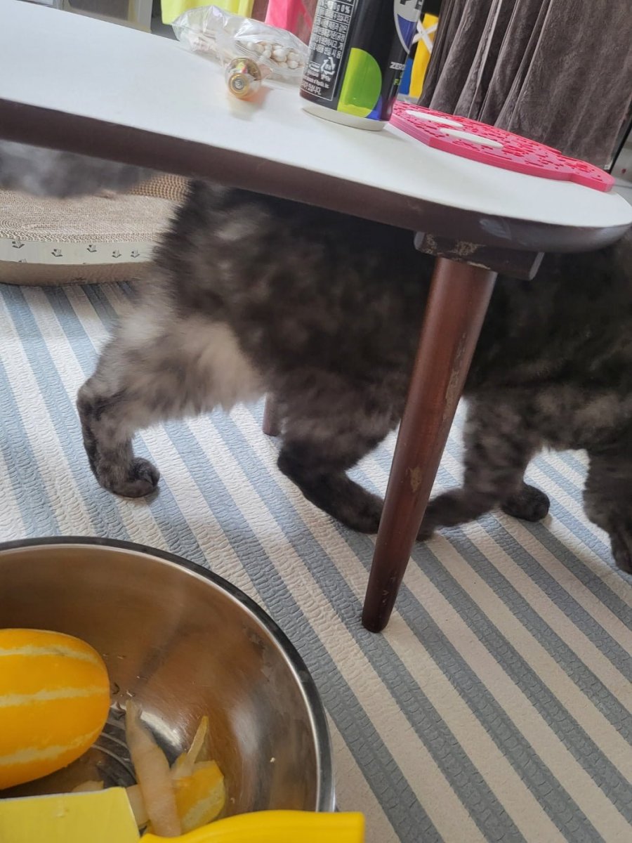 츮 
