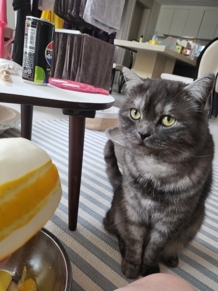 츮 