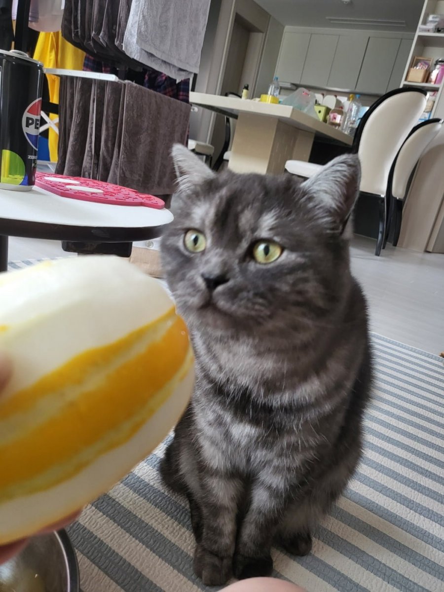 츮 