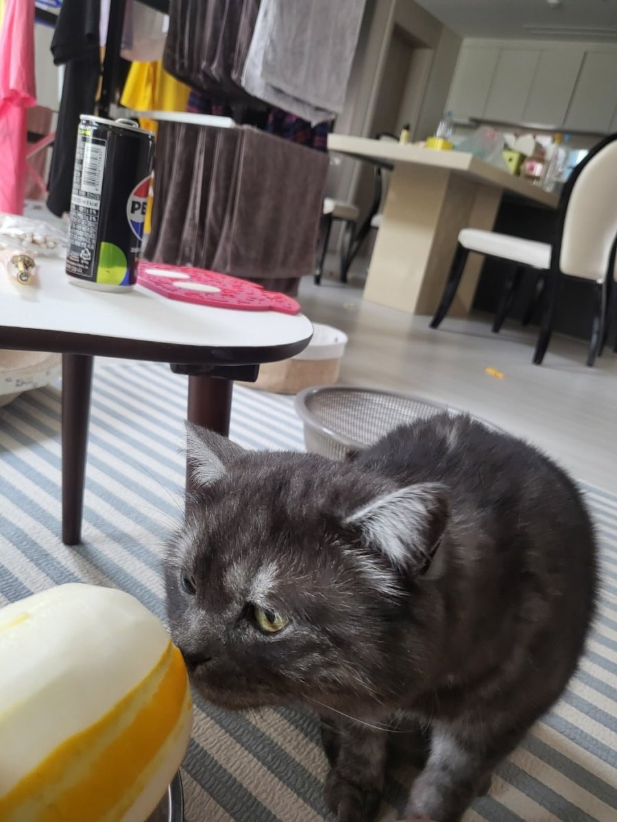 츮 