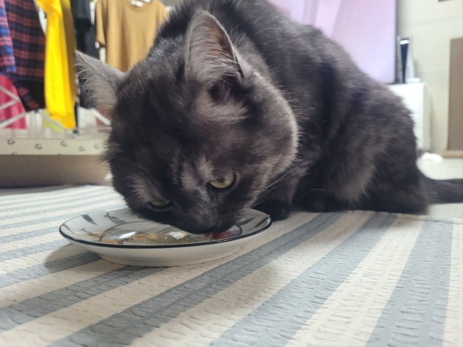 츮 
