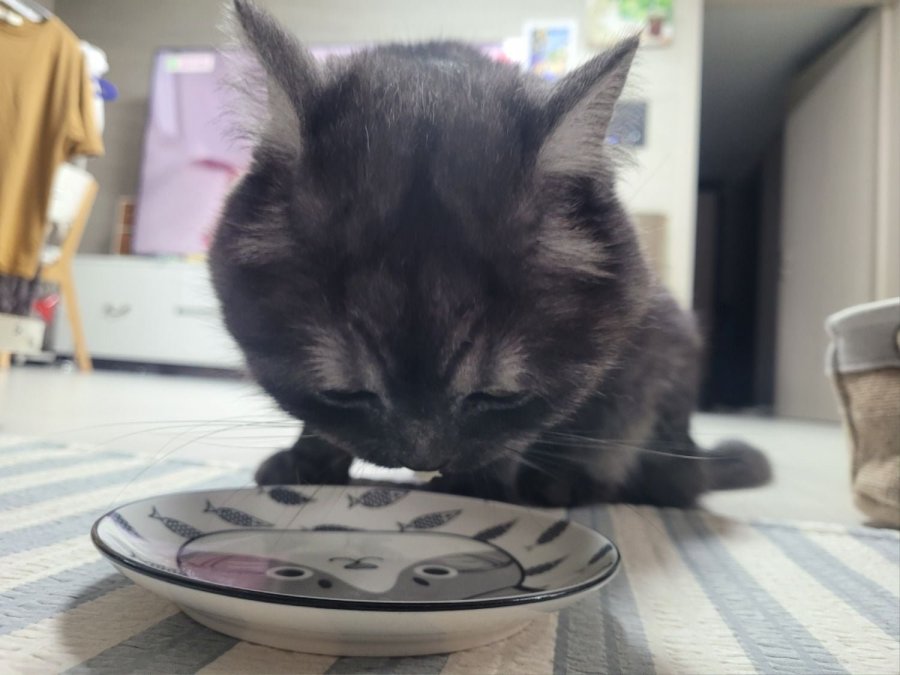 츮 