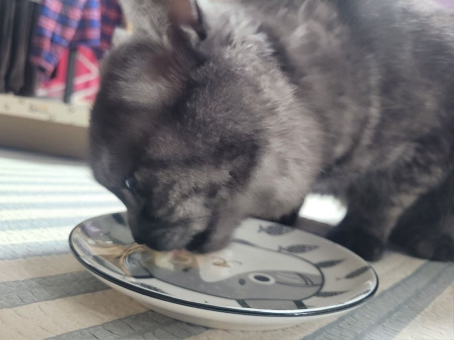 츮 
