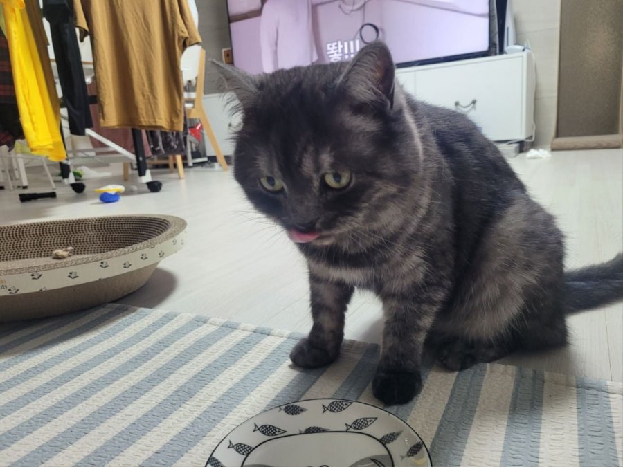 츮 