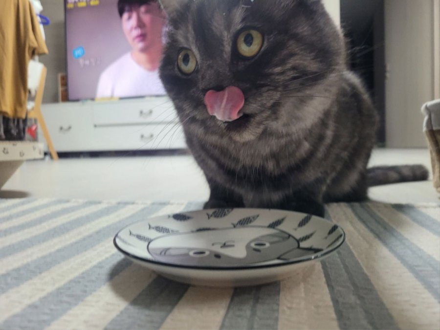 츮 