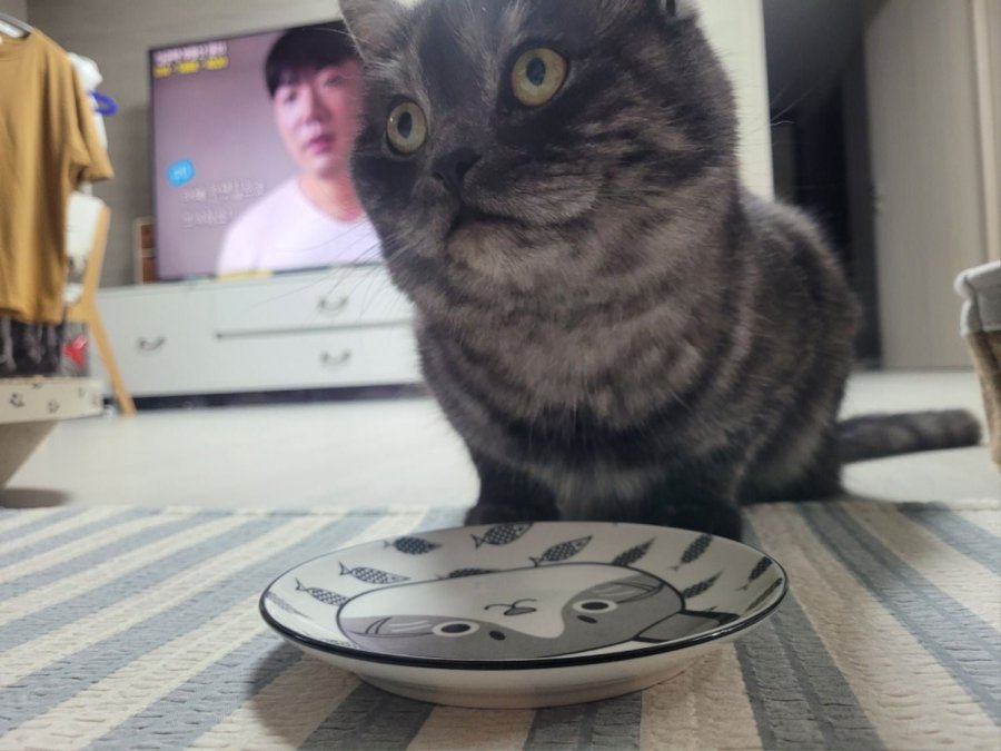 츮 