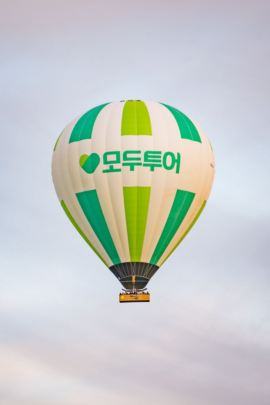 20250531061817_wmyun6oFzo.jpg