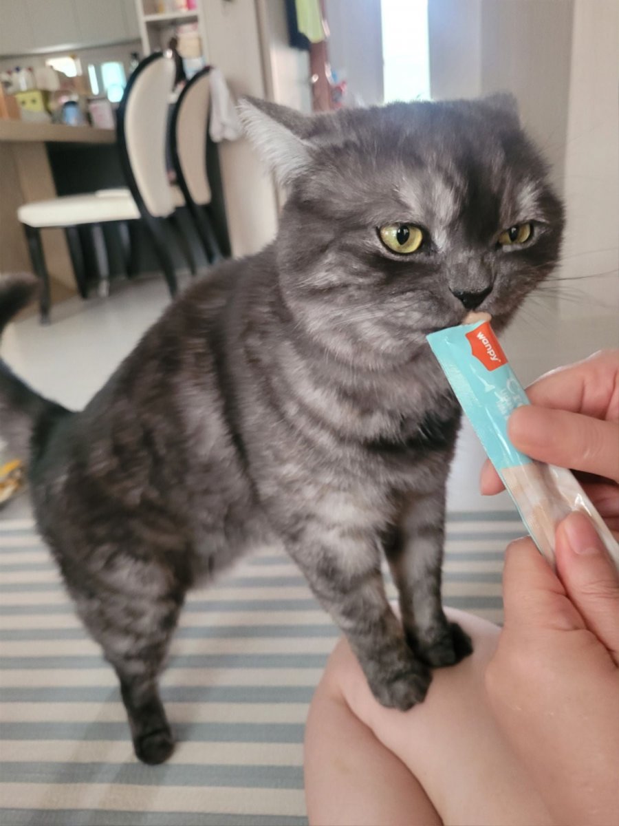 츮 