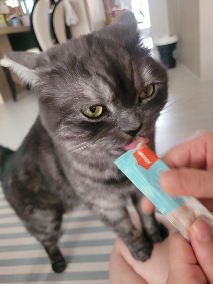 츮 