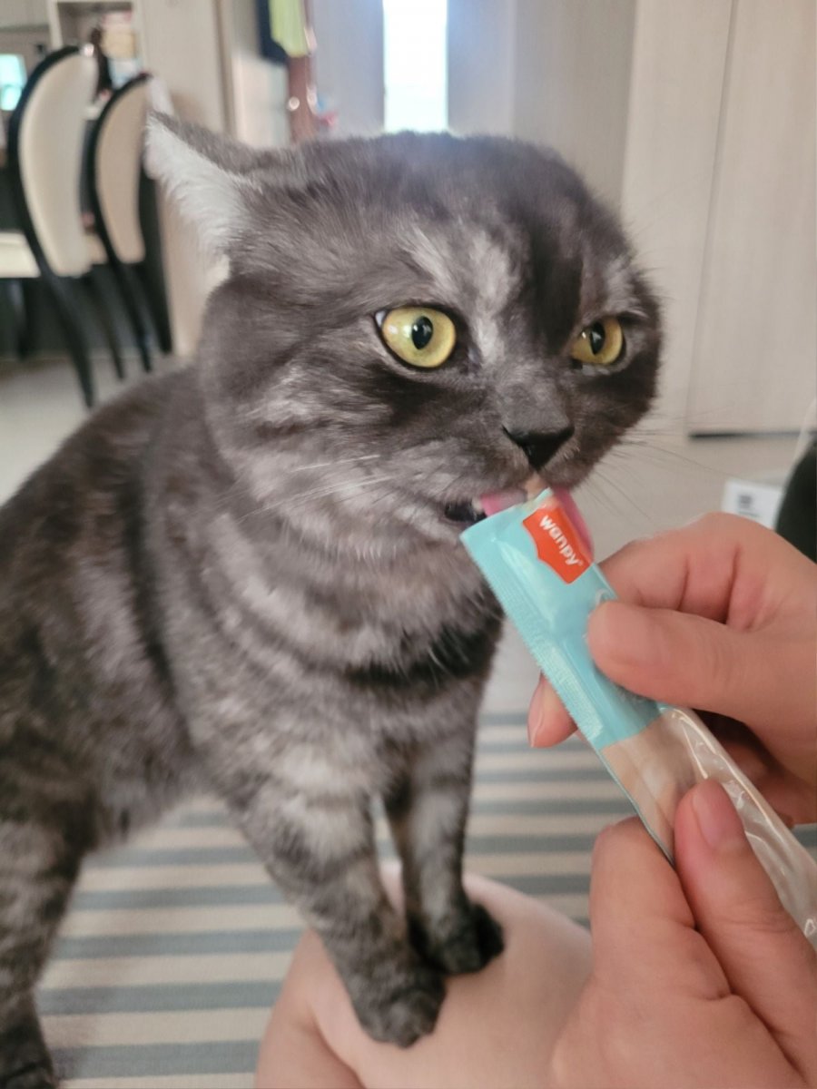 츮 