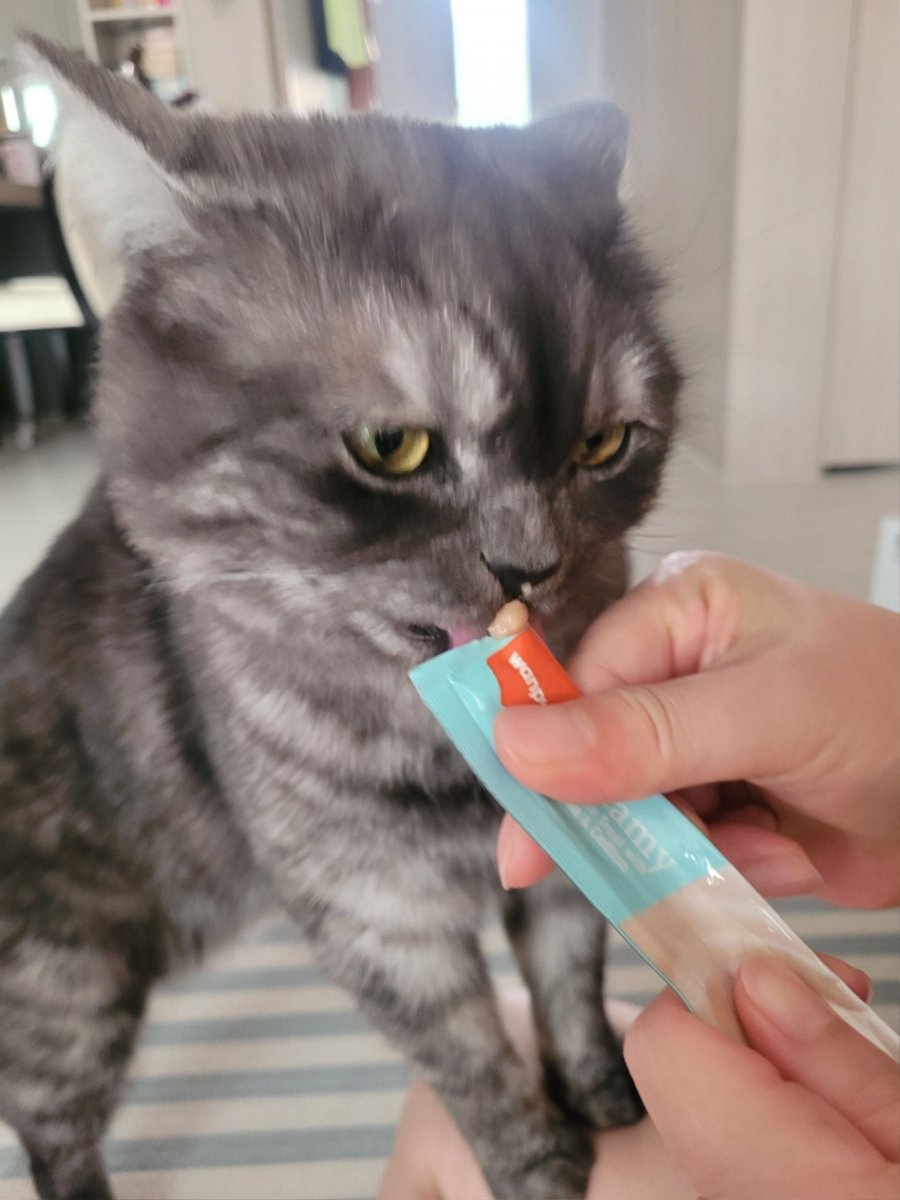 츮 