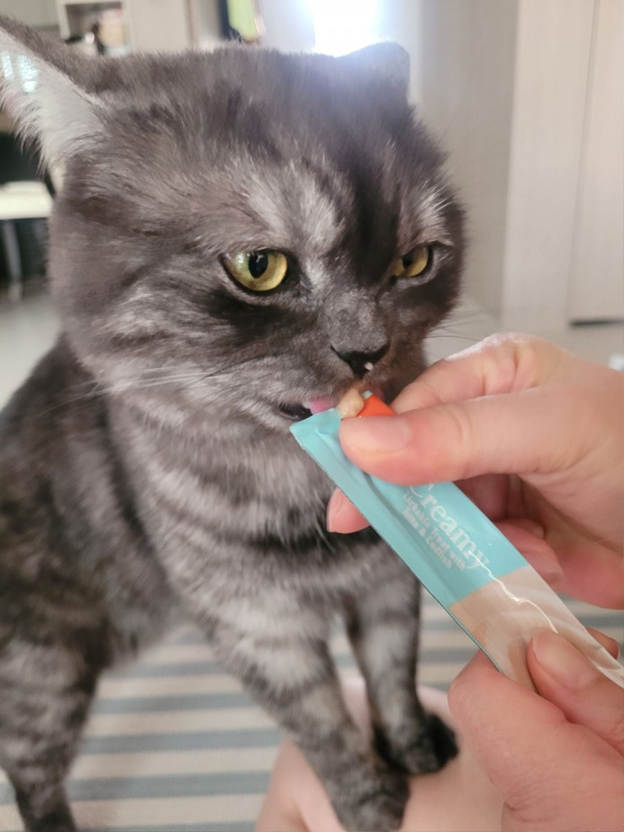츮 