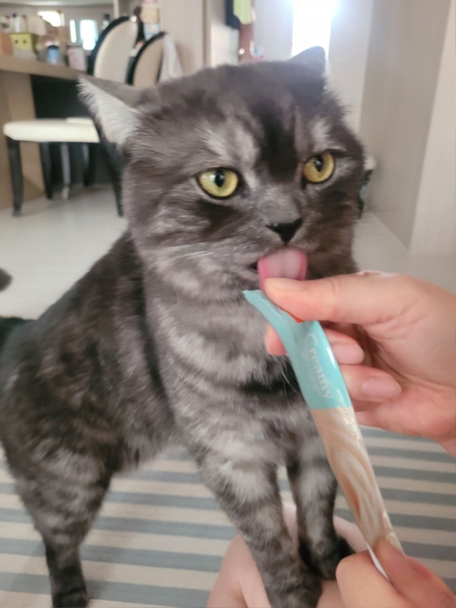 츮 