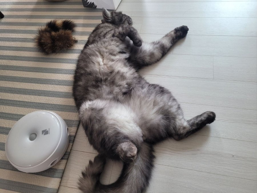 츮 