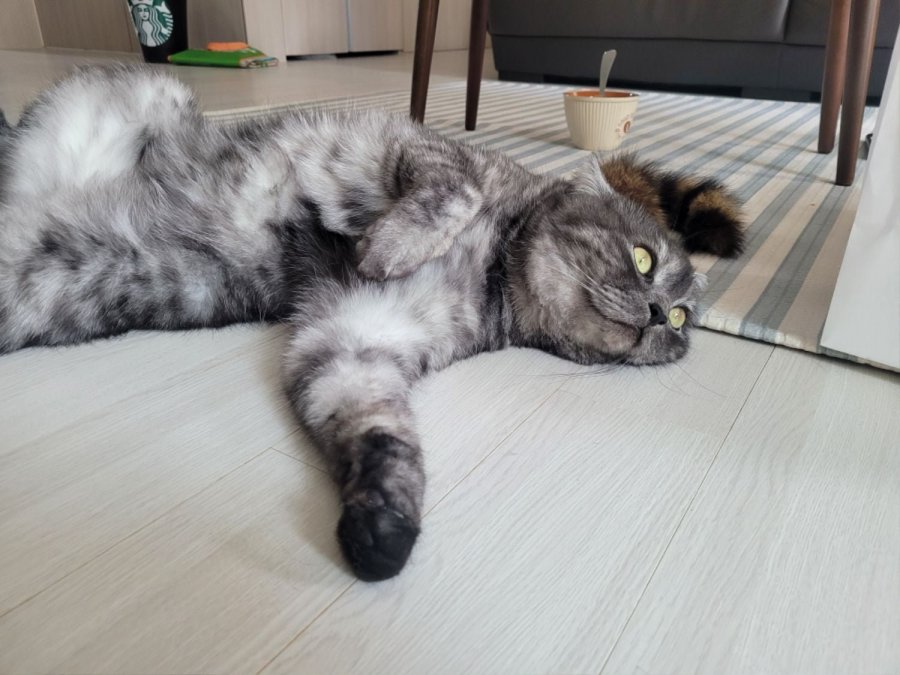 츮 