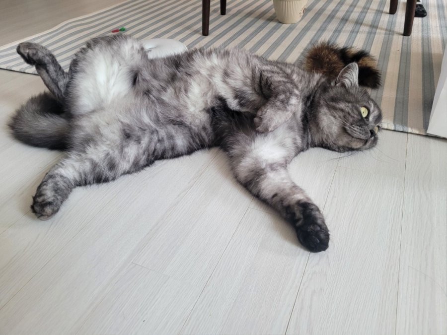 츮 