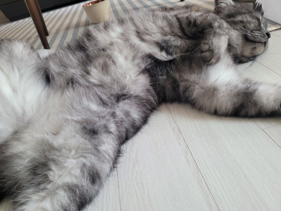 츮 
