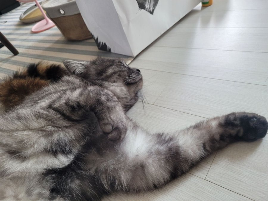 츮 